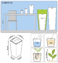 office-plants-lechuza-cubico-50